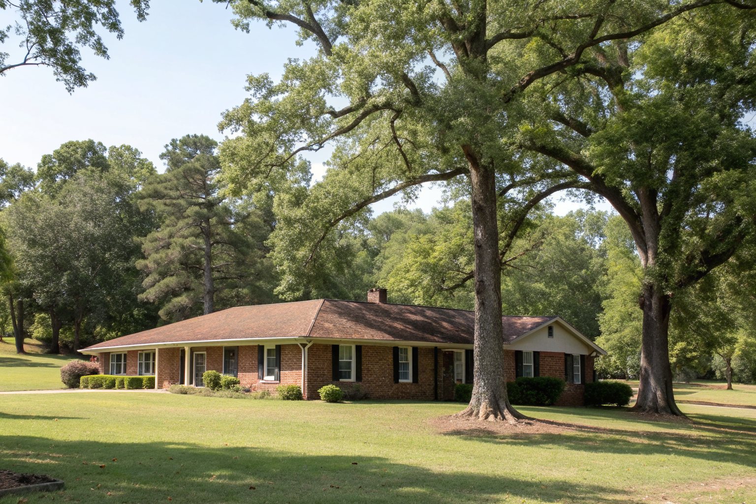 A one-story brick ranch house with a brown shingle roof in a yard of tall trees